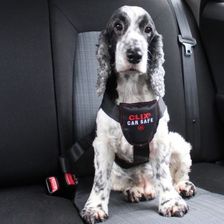 Sangle de s/écurit/é voiture pour chien